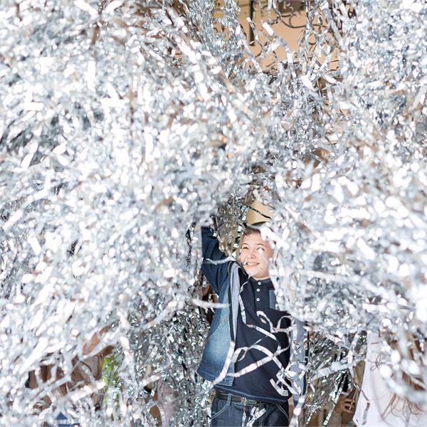 Серебряное шоу