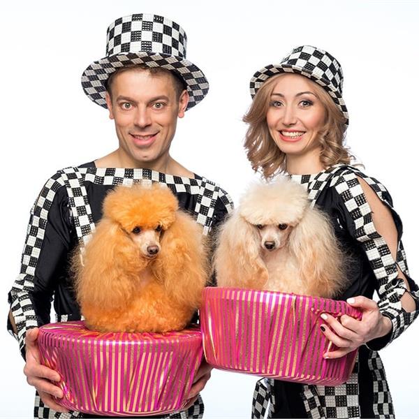 Шоу с собачками