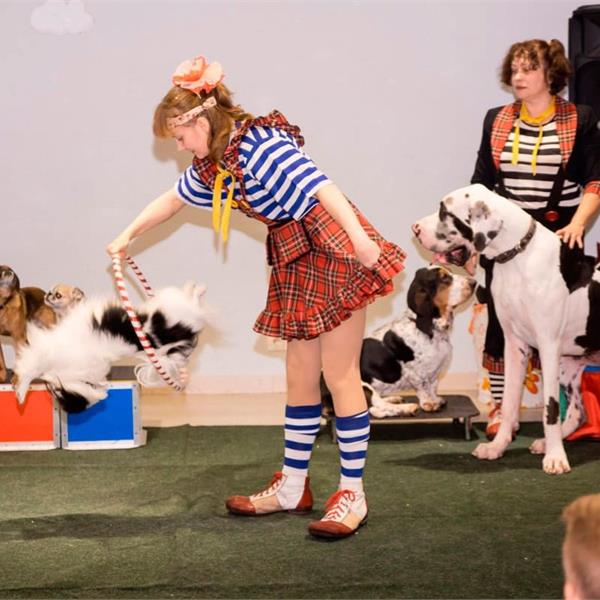 Дог-шоу 