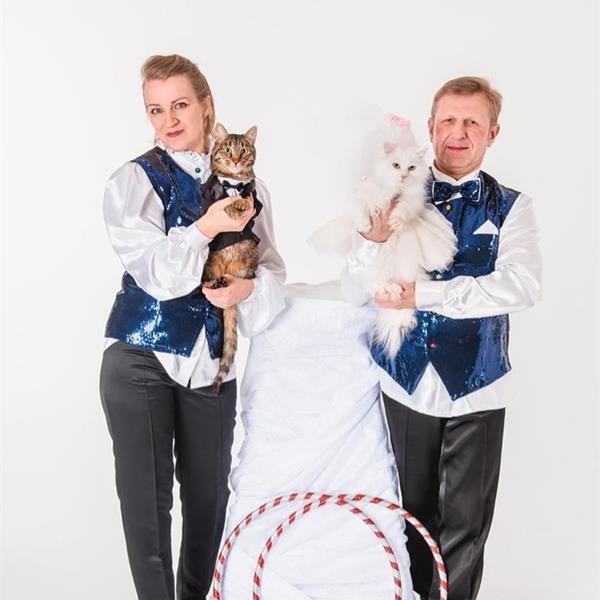 Дрессированные кошечки и собачки