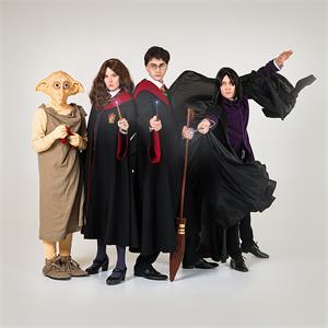 Гарри Поттер