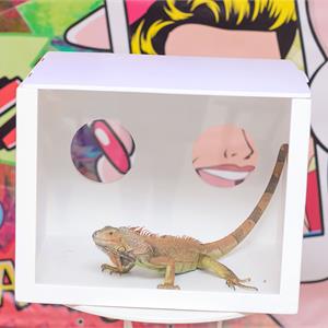 Челлендж  Нащупай, что в коробке?