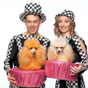 Шоу с собачками