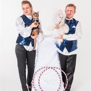 Дрессированные кошечки и собачки