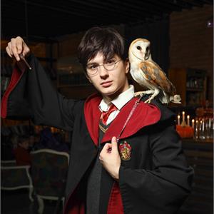 ФЕВРОМАРТ для школьников "Школа волшебства"